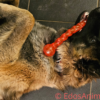 KONG SafeStix – Bild 2