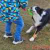 Mop Boudin Bungee – Bild 5