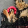 Kong Ring – Bild 2
